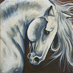 Canvas-To-Go Packs - 12x12 Majestic Stallion