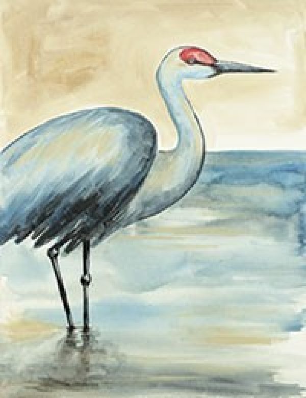 Sandhill Crane Design Template