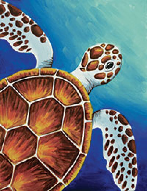 Sea Turtle Design Template