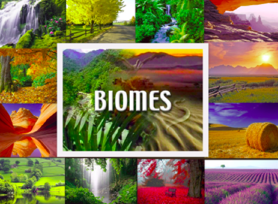 Summer Art Camp 2021 – Beautiful Biomes – Ages 10-15 July 12th through July 15th 1:30pm to 4:30pm